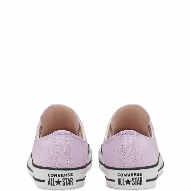 Converse Chuck Taylor All Star Classic Seasonal Color Low