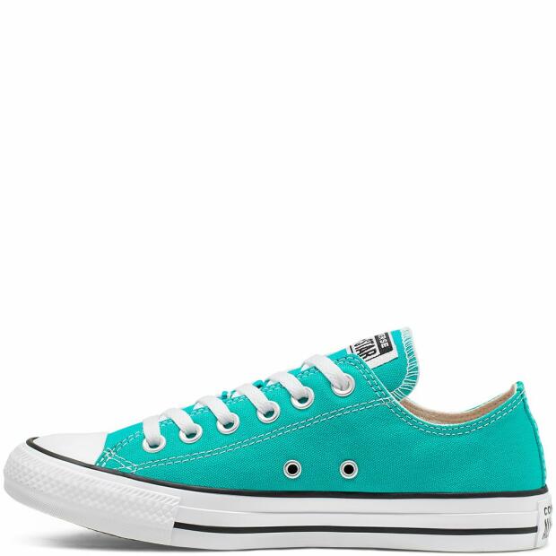 Converse Chuck Taylor All Star Classic Seasonal Color Low