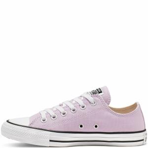 Converse Chuck Taylor All Star Classic Seasonal Color Low